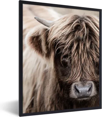 Produktbild von MuchoWow® Gerahmtes Poster Schottischer Highlander - Tier - Hoorn 60x80 cm - Poster mit Schwarzem Bilderrahmen Wandposter Rahmen Foto Bilder - Premium - Wanddeko Wohnzimmer