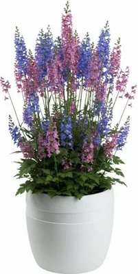 Image de HowHomely | Bac à fleurs - Pot de fleurs - blanc - L33xH30 cm - Jardinière - Cache-pot - Pratique
