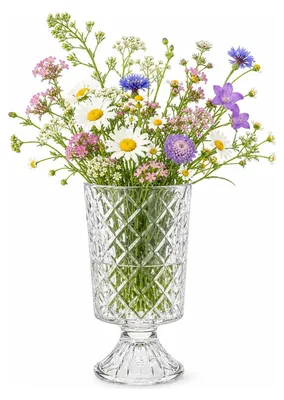 Produktbild von Alessandro Blumenvase Samuray – transparentes Glas – H 23 cm – zylindrische Form