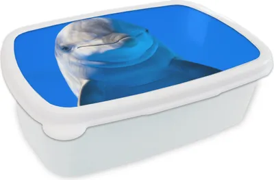 Produktbild von KitchenYeah® Lunchbox Brotzeit Brotdose 17x11 cm Delfin in einem Aquarium Kinder Brotzeitdose - Lunch Box - Kinder - Sandwich-Box - Schulbox - Lunch Boxen