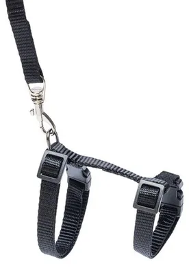 Produktbild von Karlie Art Sportiv - Katzengeschirr - Mit Leine - Nylon - Schwarz - 120x1 cm