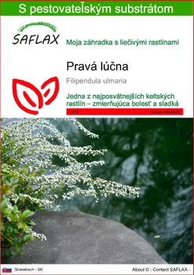 Obrázok produktu pre SAFLAX - Pravá lúčna - Filipendula ulmaria - 500 Semená - S pestovateľským substrátom bez klíčkov