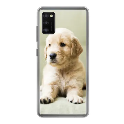 Produktbild von MuchoWow® Handyhülle Schutzhülle Hülle für Samsung Galaxy A41 Golden Retriever Welpe auf dem Sofa liegend Silikon Softcase Handy Hülle - Mobiltelefon