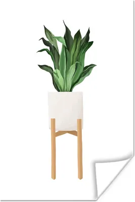 Produktbild von MuchoWow® Poster Pflanzen - Blumentopf - Weiß 80x120 cm - Papierdruck