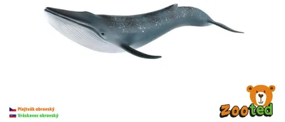 Imagen del producto de Balaena mysticetus, juguete de plástico, 27 cm