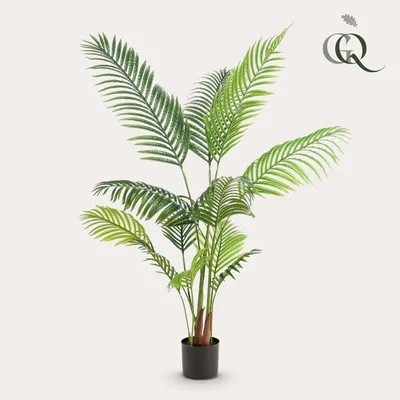 Produktbild von Umelá rastlina - Howea Forsteriana - 140 cm