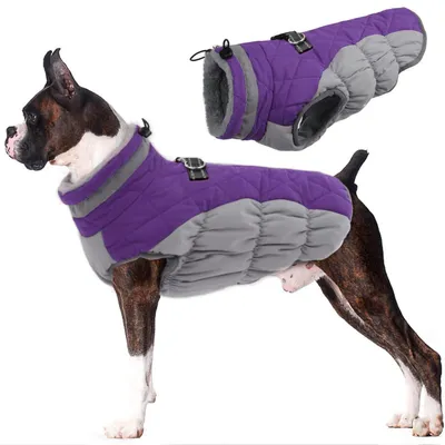 Produktbild von Hundemantel wasserdicht winddicht mit Geschirr warm reflektierend Lila XL