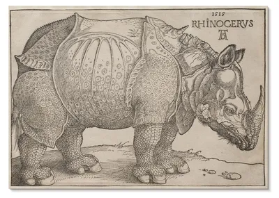 Zdjęcie produktu dla PLAKAT – 84 x 59 cm (A1) – Albrecht Dürer – Nosorożec (1515) autorstwa Albrechta Dürera – dekoracja ścienna do salonu, sypialni i przedpokoju, nowoczesny plakat, bez ramy