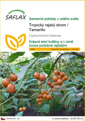 Obrázek produktu pro SAFLAX - Tropický rajský strom / Tamarillo - Cyphomandra betacea - 50 Semena
