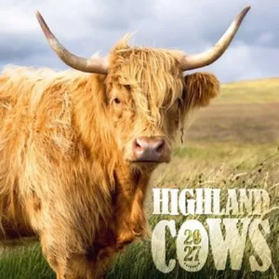 Produktbild von Highland Cows Kalender 2027 - Schottische Hochlandrinder