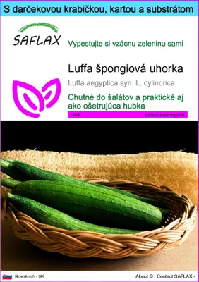 Obrázok produktu pre SAFLAX Darčeková sada - Luffa špongiová uhorka - Luffa aegyptica syn. L. cylindrica - 10 Semená - S darčekovou krabičkou, prepravným štítkom, darčekovou kartou a pestovateľským médiom