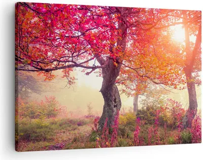 Produktbild von Bild auf Leinwand - Leinwandbild - Baum Natur Wiese - 70x50cm - Wand Bild - Wanddeko - Wandbilder - Leinwanddruck - Bilder - Kunstdruck - Wanddekoration - Leinwand bilder - Wandkunst - AA70x50-3658