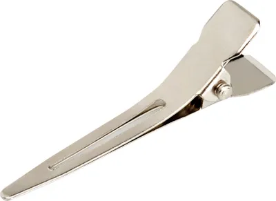 Image de Clips métalliques E-19