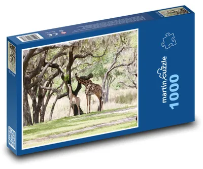 Zdjęcie produktu dla martinpuzzle - Puzzle 1000 - Żyrafa - zwierzęta, zoo