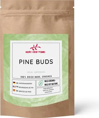 Produktbild von Herbs from Poland Kiefernknospen, Unterstützt Atemwege, Schleimlösend & Entzündungshemmend, Natürliches Immunstimulans, 100% Natürlich – 1000g