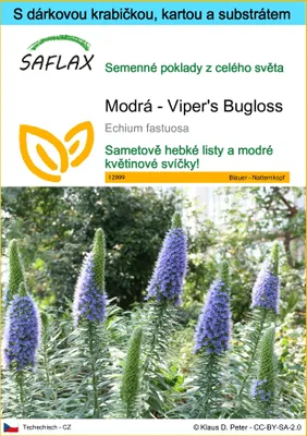 Obrázek produktu pro SAFLAX Dárková sada - Modrá - Viper's Bugloss - Echium fastuosa - 100 Semena - S dárkovou krabičkou, přepravním štítkem, dárkovou kartou a pěstebním médiem