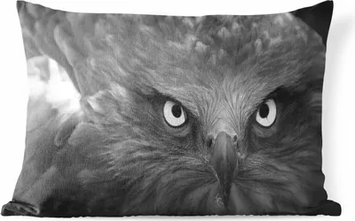 Produktbild von MuchoWow® Outdoor Kissen - Adler - Schwarz - Weiß - 60x40 cm - Wetterfest - Lounge Kissen - Zierkissen - Kissen für Innenräume