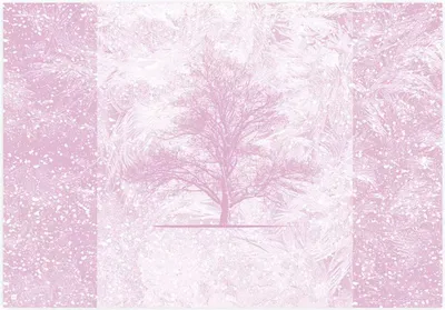 Produktbild von Tischsets aus Papier 43x30cm mit Winterbaum Motiv 50 Stück Rosa / Weiß