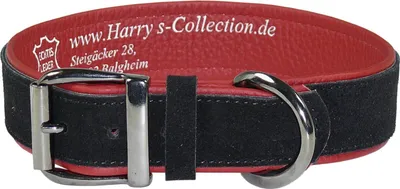 Produktbild von Hundehalsband aus feinstem Leder in vielen Farben von 28-48 cm