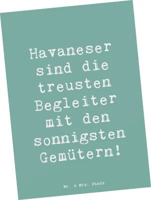 Produktbild von Mr. & Mrs. Panda Postkarte Spruch Havaneser Begleiter - Meeresbrise - Geschenk, Liebe, Grußkarte, Hund, Hunderassen Pflege, Fotokarte, Ansichtskarten, Familie, Postkarten