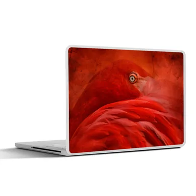 Produktbild von MuchoWow® Laptop Aufkleber Sticker Cover Tropisch - Vogel - Rot - Tiere 30x22 cm - Laptop-Sticker