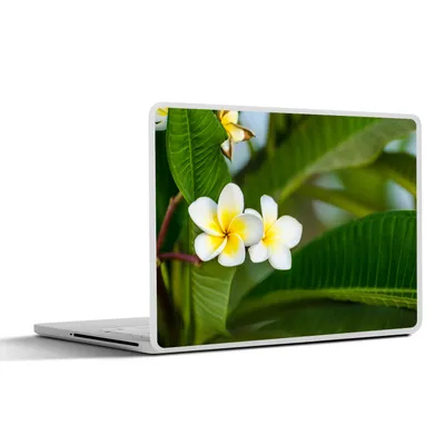 Produktbild von MuchoWow® Laptop Aufkleber Sticker Cover Blumen - Gelb - Blätter 31x22.5 cm - Laptop-Deko