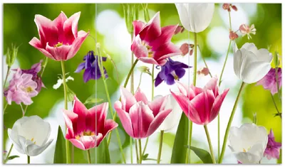 Produktbild von Wallario Herdabdeckplatte aus Glas, Größe 90 x 52 cm 3-teilig, Motiv Blühende Blumen im Frühling in pink und weiß