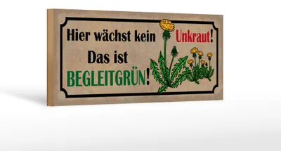 Produktbild von Holzschild Spruch 27x10cm hier wächst kein Unkraut das ist