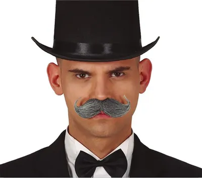 Immagine prodotto di Baffi da cowboy classici per carnevale e drammi storici del 19° secolo adatti per apparizioni adulte Mezzi stilistici per immergersi nei viaggi nel tempo e nell'avventura, Colore: Grigio