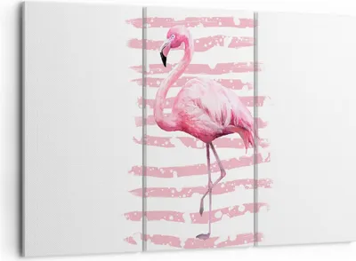 Produktbild von Bild auf Leinwand - Leinwandbild - Flamingo Vogel Wasser - 105x70cm - Wand Bild - Wanddeko - Leinwanddruck - Bilder - Kunstdruck - Wanddekoration - Leinwand bilder - Wandkunst - CE105x70-3938
