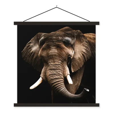 Produktbild von MuchoWow® Textilposter Elefant - Tiere - Zähne 40x40 cm mit schwarzem Rahmen - Fotos