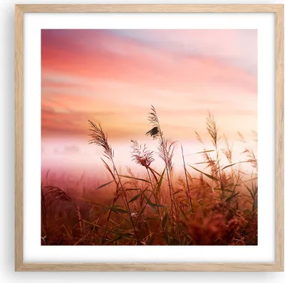 Produktbild von Gerahmtes Poster - Rahmen in heller Eiche - Wiese Getreide Natur - 50x50 cm - Wand Bild - Wanddeko - Wandbilder - Wandposter - Bilderrahmen - Bilder - Kunstdruck - Wandbild - P2NAC50x50-3530