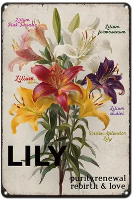 Image de Panneau mural rustique avec des motifs de lys botaniques - 20 x 30 cm - Décoration murale pour l'espace extérieur