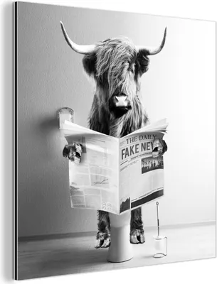 Produktbild von MuchoWow Wanddekoration Metall Metallbild Wandkunst 20x20 cm Schottisches Hochlandrind - WC - Zeitung - Lustig - Tier MuchoWow Aluminium Gemälde - Alu Dibond Bilder