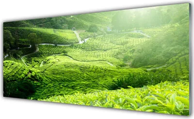 Produktbild von Küchenrückwand aus Glas 125x50cm Spritzschutz Wiese Natur