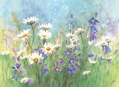 Produktbild von Tischsets aus Papier 43x30cm mit Gänseblümchen Motiv 50 Stück Bunt