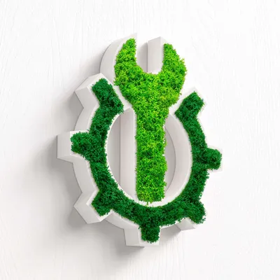 Produktbild von MOOSWERK Moos Türschild Technik | Natürliches Islandmoos Moosbild | Modernes Piktogramm für Serverraum & IT | Moos-Wanddeko & Beschilderung Weiß