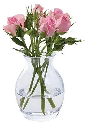 Image de Vase à fleurs fait main en verre transparent