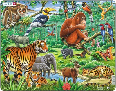 Produktbild von Larsen Puzzle Dschungel 20-tlg.