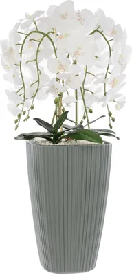 Immagine prodotto di Orchidea artificiale bianca in vaso bouquet di fiori H 95 cm vaso quadrato grigio