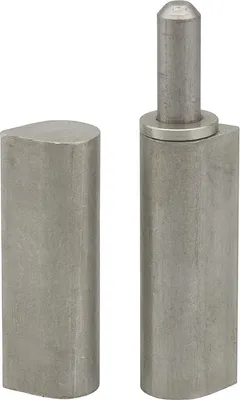 Image de Paumelle de porte d'entrée / d'intérieur à souder, inox, 20x25x140mm - THIRARD