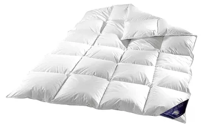 Produktbild von Daunen-Federn Bettdecke 200x220 cm | Füllgewicht: 1800 Gramm | Warm | 100% Baumwolle | Federndecke | kein Lebendrupf