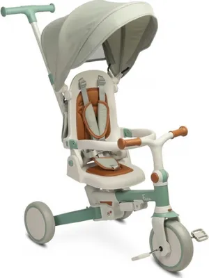A product shot of a children's tricycle on a white background.