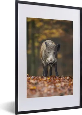 Produktbild von MuchoWow® MuchoWow® Gerahmtes Poster Wildtier - Wald - Herbst 40x60 cm - Poster mit zchwarzem Bilderrahmen - Poster in Rahmen