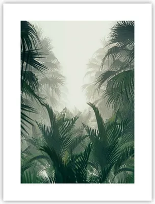 Produktbild von Poster - Poster ohne Rahmen - Dschungel Blätter Palmen - 30x40 cm - Wand Bild - Wanddeko - Wandbilder - Kunstposter - Wandposter - Bilder - Kunstdruck - Wanddekoration - Wandbild - P2XPA30x40-4504
