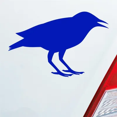 Produktbild von Auto Aufkleber Rabe Vogel Bird Vogelfreund 15x10 cm Dunkelblau Sticker Heckscheibenaufkleber