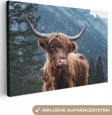 Produktbild von MuchoWow® - Leinwandbilder - Schottischer Highlander - Wald - Höhle, Wandbild, Wanddeko Bilder Wohnzimmer, 120x80 cm