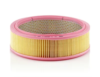 Produktbild von Mann-Filter | Luftfilter (C 2545/1) passend für Pontiac, Nissan