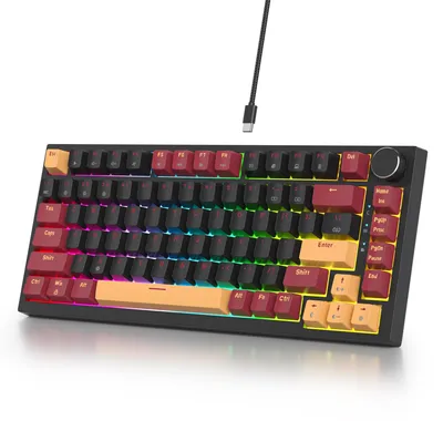 Image de Clavier mécanique 75% - Compatible avec des switches remplaçables à chaud - 82 touches - Éclairage RGB - Disposition QWERTY