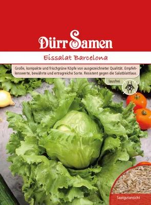 Produktbild von Eissalat Barcelona lausfrei | Eissalatsamen von Dürr Samen